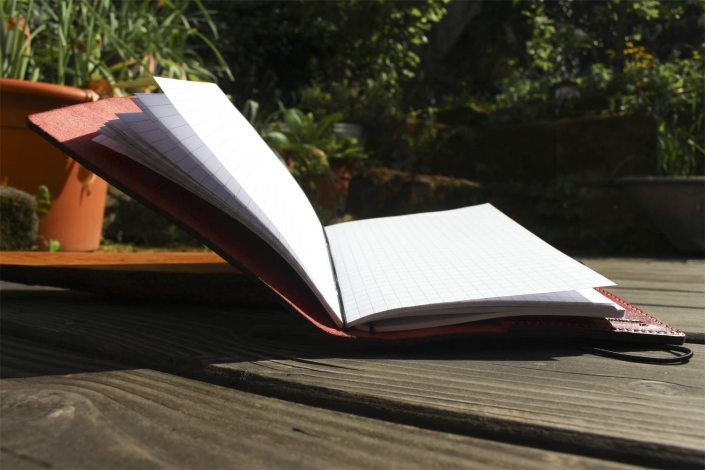 Lewings Lederbuch A6 3/15 Lewings Lederbuch A6 3/15